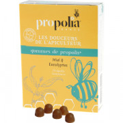 Gommes de propolis